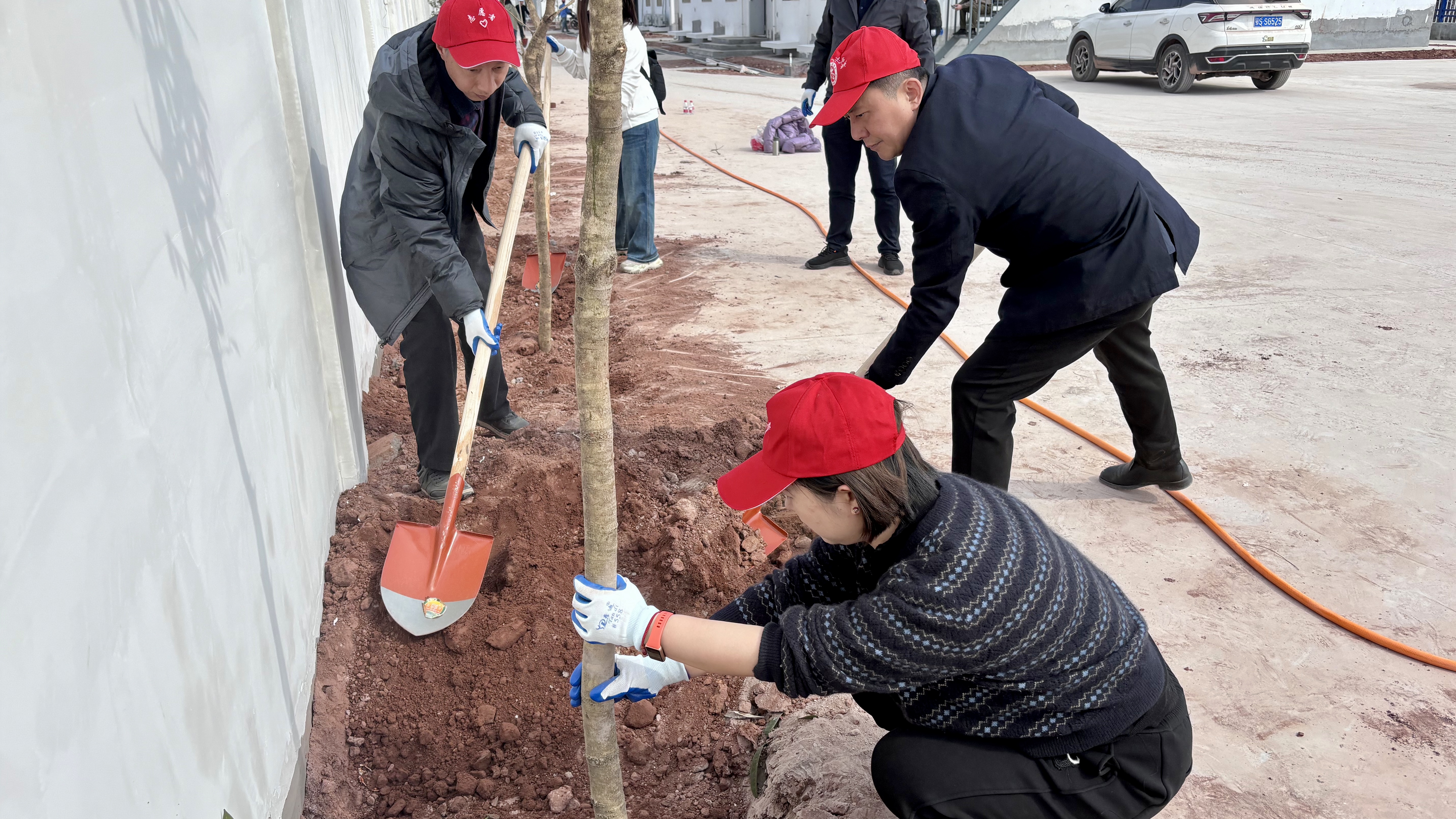 ��yun�����������