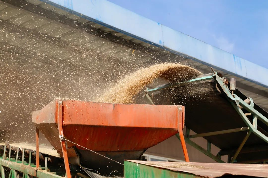 ¿ªyunÌåÓý¹ÙÍøÈë¿Ú