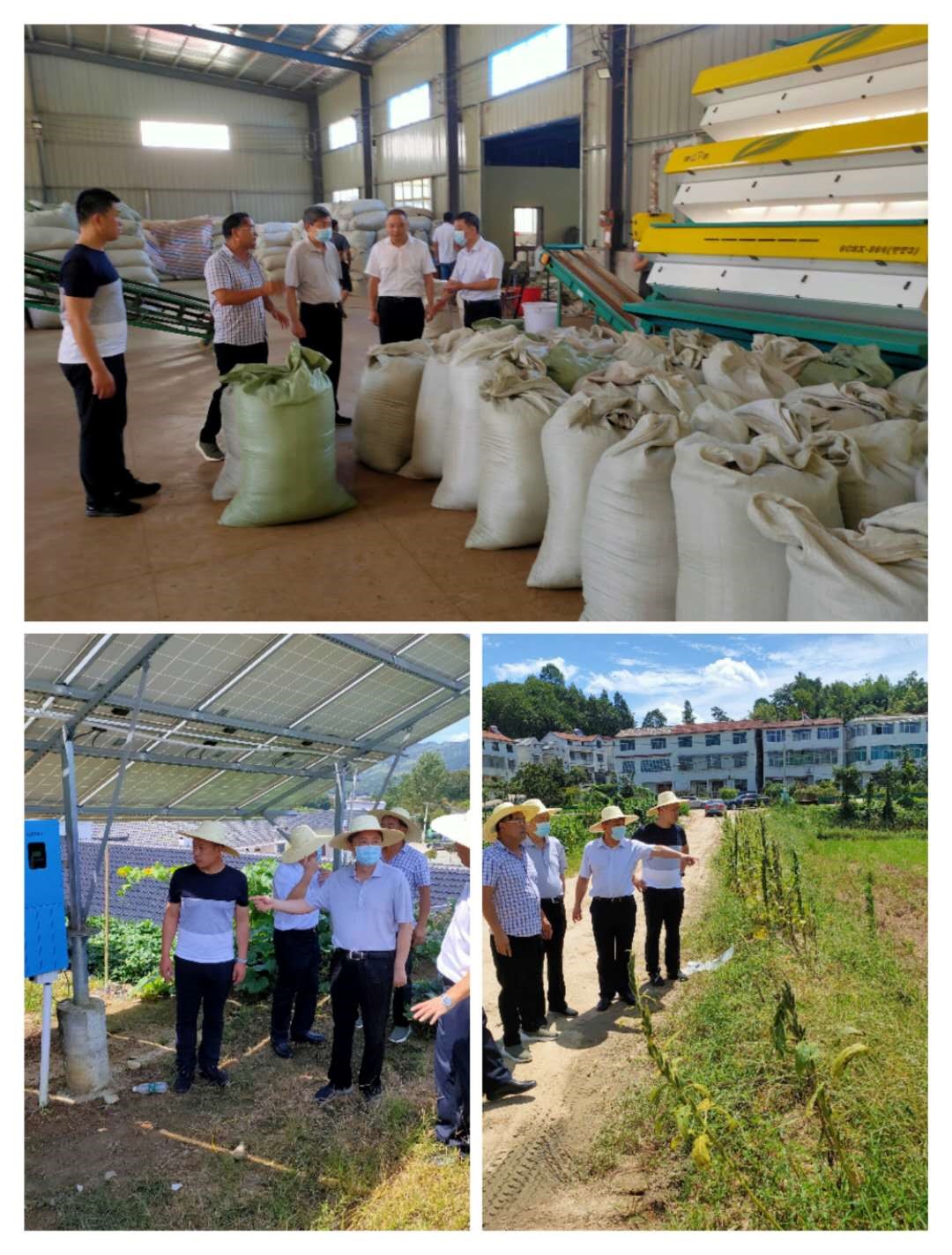 ¿ªyunÌåÓý¹ÙÍøÈë¿Ú