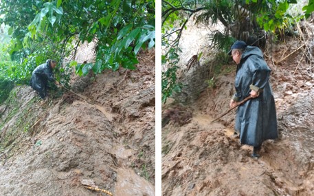 ��yun�����������