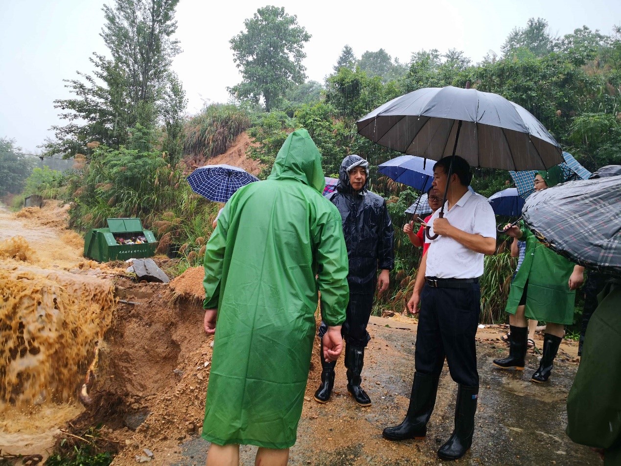 ��yun�����������