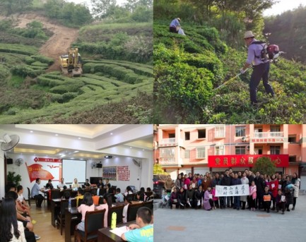 ¿ªyunÌåÓý¹ÙÍøÈë¿Ú