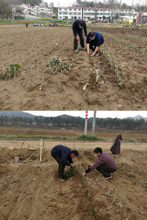 ��yun�����������