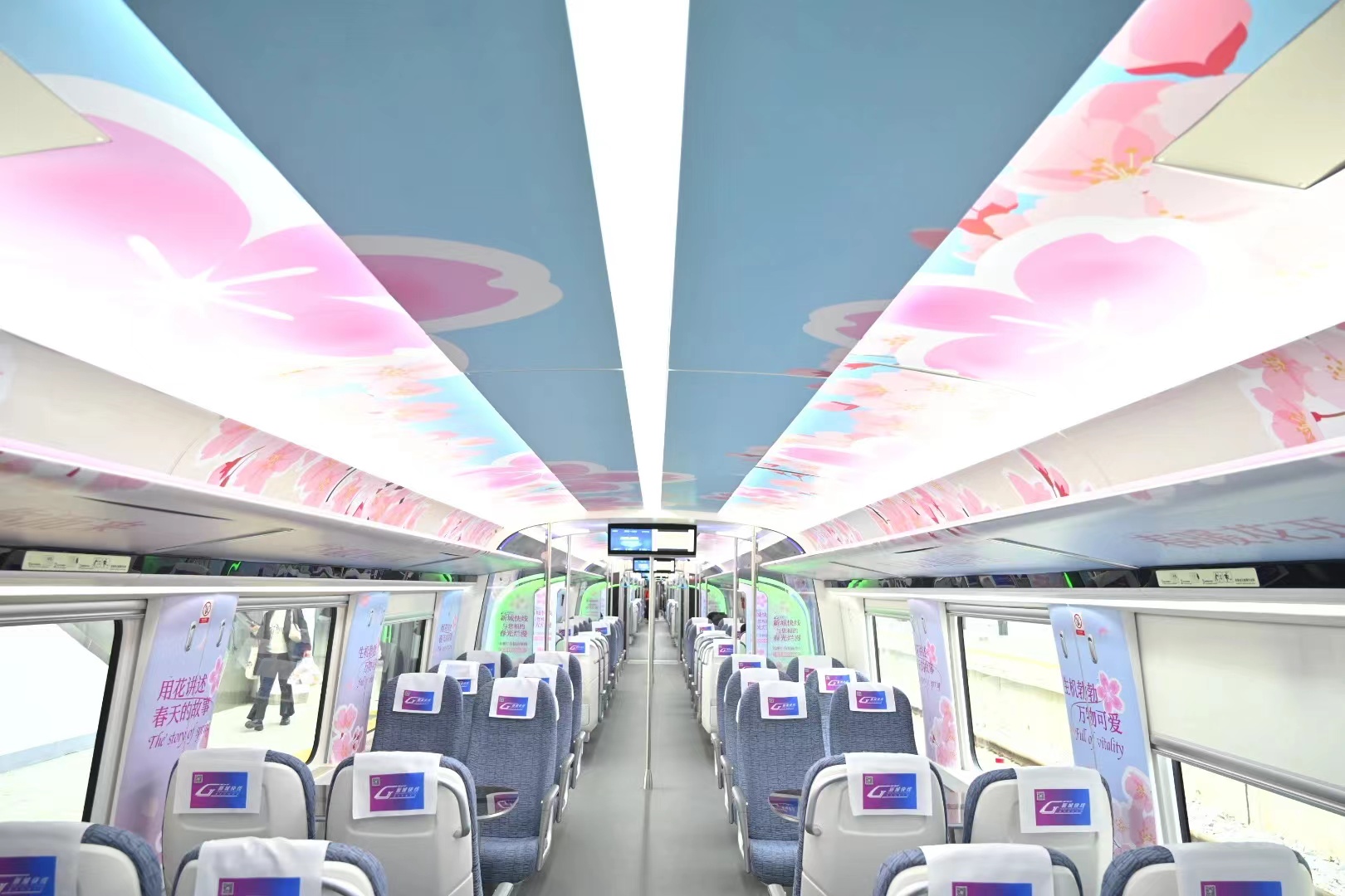 ��yun�����������