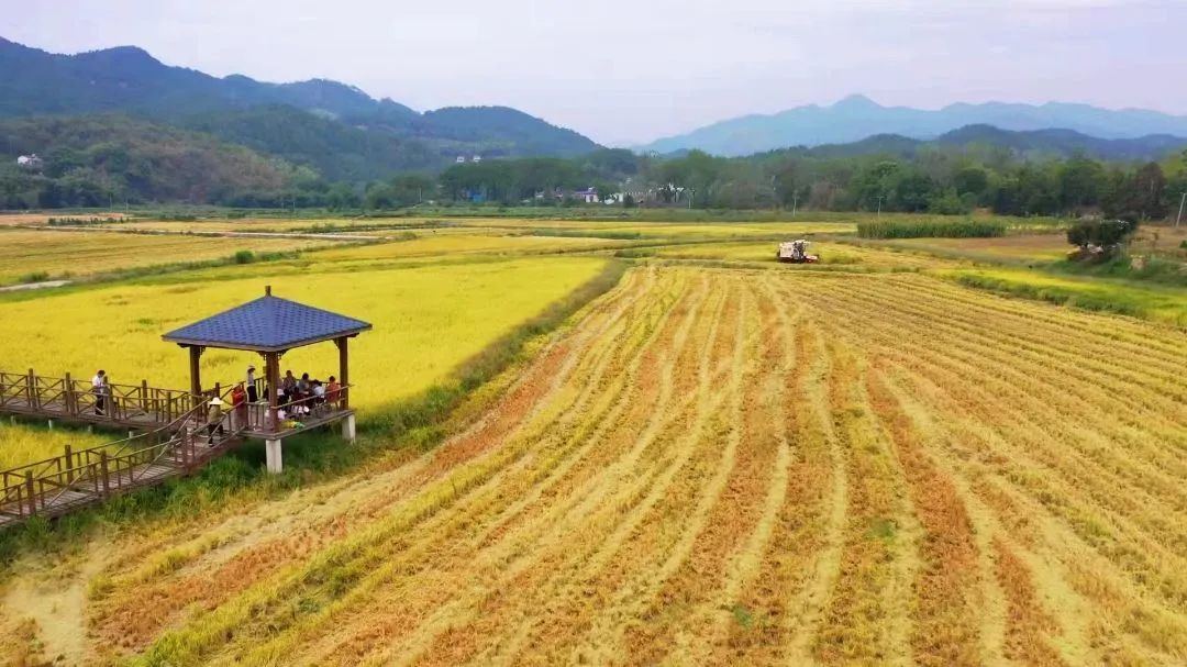 ¿ªyunÌåÓý¹ÙÍøÈë¿Ú