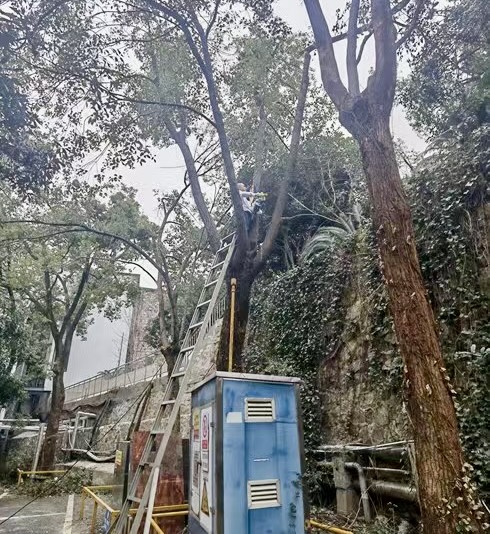 ¿ªyunÌåÓý¹ÙÍøÈë¿Ú